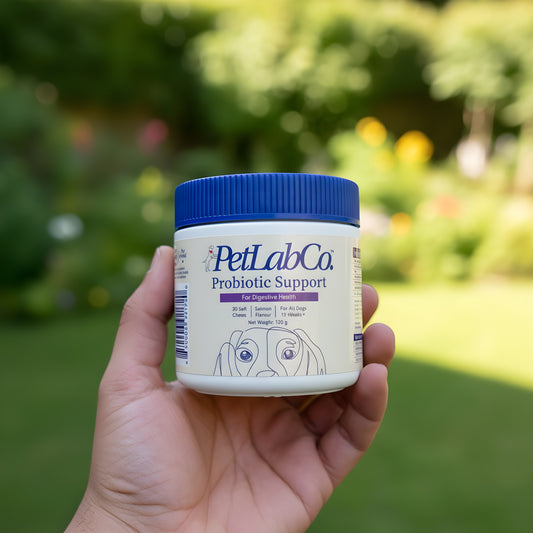 PetLab Co. Allergy & Immune Probiotic Soft Chews for Dogs