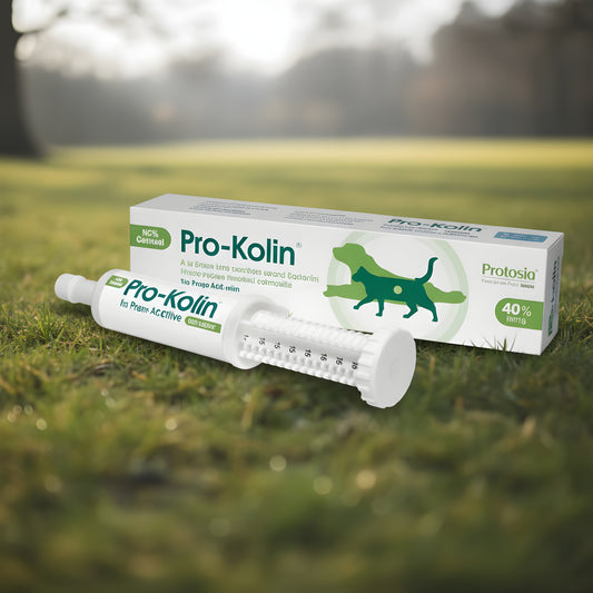 Protexin Veterinary Pro-Kolin Probiotic Paste for Dogs